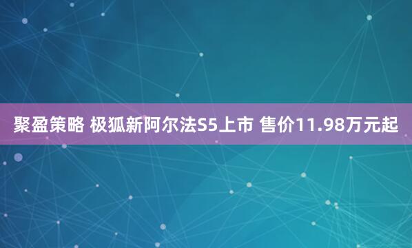 聚盈策略 极狐新阿尔法S5上市 售价11.98万元起