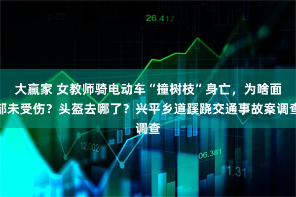 大赢家 女教师骑电动车“撞树枝”身亡,为啥面部未受伤?头盔去哪了?兴平乡道蹊跷交通事故案调查