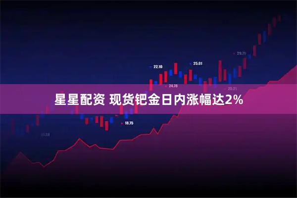 星星配资 现货钯金日内涨幅达2%