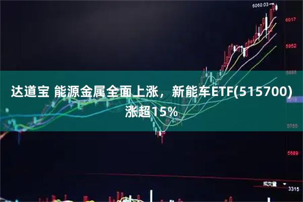 达道宝 能源金属全面上涨,新能车ETF(515700)涨超15%